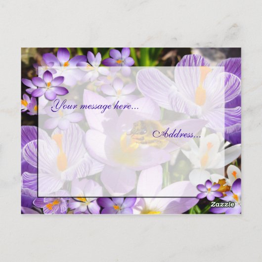 DE KROKUSPROEVERIJ ~ BRIEFKAART (Achterkant)