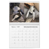 De Kronieken van Todd 2025 Kalender (Feb 2027)
