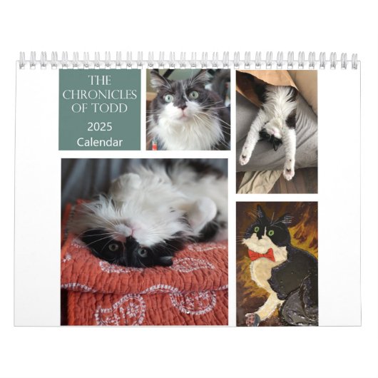 De Kronieken van Todd 2025 Kalender (Hoes)