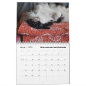 De Kronieken van Todd 2025 Kalender (Mar 2026)