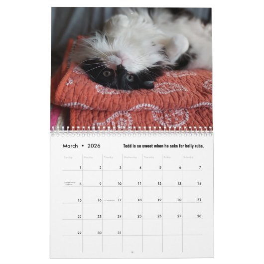 De Kronieken van Todd 2025 Kalender (Mar 2026)