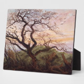 De kroonboom, 1822 fotoplaat (Zijkant)