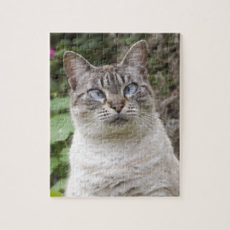 De kruidachtige kat legpuzzel