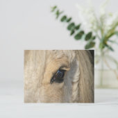 De krullen hebben het Amerikaanse krullende paard Briefkaart (Staand voorkant)