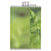 De krullende Bladeren van de Varen, Groen, Vage Heupfles (Achterkant)