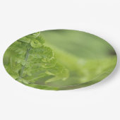 De krullende Bladeren van de Varen, Groen, Vage Papieren Bordje (Gekanteld)