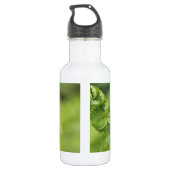 De krullende Bladeren van de Varen, Groen, Vage Waterfles (Achterkant)