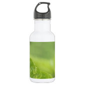 De krullende Bladeren van de Varen, Groen, Vage Waterfles (Voorkant)