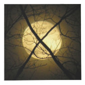 DE KUBTEKENS - X MERKT DE PLAATS KUBUS (Voorkant)
