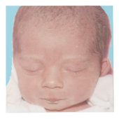 De Kubus van de foto (4 duim) (Rechts)