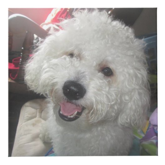 De Kubus van de foto (4 duim) (Voorkant)