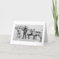 De Kudde Alaska 1909 van het rendier