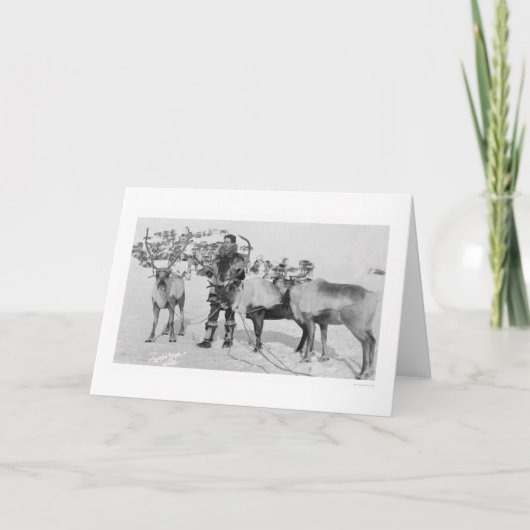 De Kudde Alaska 1909 van het rendier Feestdagen Kaart (Voorkant)