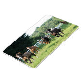 De kudde en de Herdmaster Magneet (Linkerzijde)