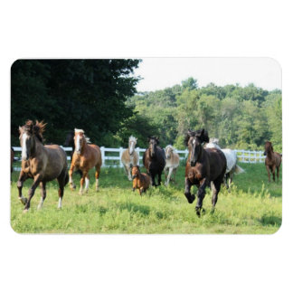 De kudde en de Herdmaster Magneet