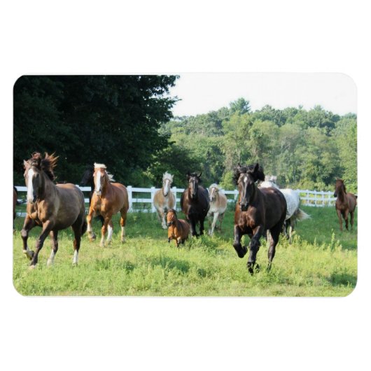 De kudde en de Herdmaster Magneet (Horizontaal)