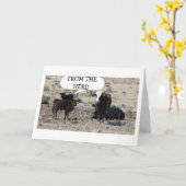 DE "KUDDE" HAD "GEHOORD" DAT HET JOUW VERJAARDAGSG KAART (Gele Bloem)