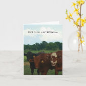 De kudde het was Uw Kaart van de Koe van de (Gele Bloem)