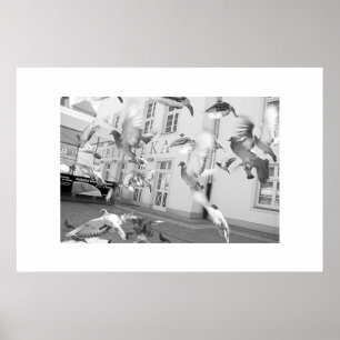 De kudde - ingelijste print