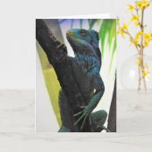 De KuifLeguaan van Fijian Kaart (Gele Bloem)