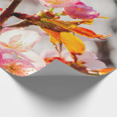 De kunst van Cherry Blossoming op zonnige dag Cadeaupapier (Hoek)