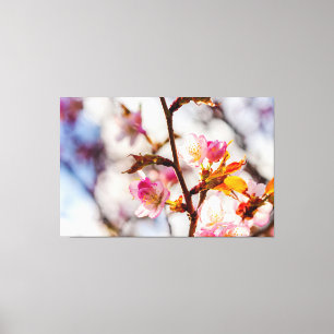 De kunst van Cherry Blossoming op zonnige dag Canvas Afdruk