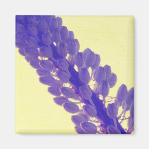 De Kunst van de Bloem van de zomer - Magneet