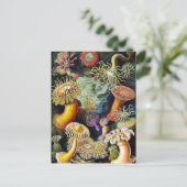de kunst van de Natuur door Ernst Haeckel Briefkaart (Staand voorkant)