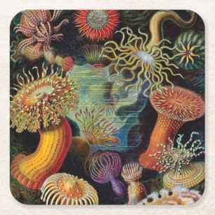 de kunst van de Natuur door Ernst Haeckel Kartonnen Onderzetters