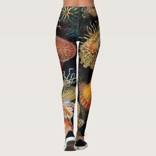 De kunst van de Natuur door Ernst Haeckel Leggings (Achterkant)