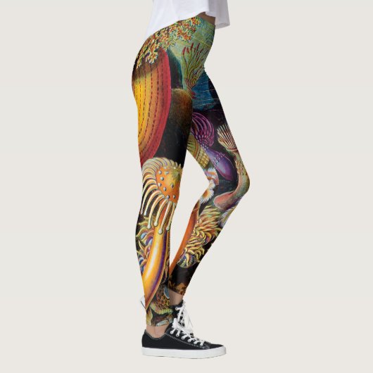 De kunst van de Natuur door Ernst Haeckel Leggings (Rechts)
