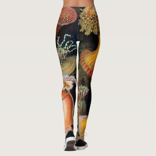De kunst van de Natuur door Ernst Haeckel Leggings (Achterkant)