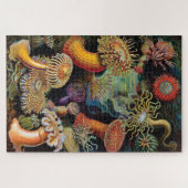 De kunst van de Natuur door Ernst Haeckel Legpuzzel (Horizontaal)