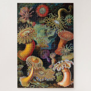 De kunst van de Natuur door Ernst Haeckel Legpuzzel
