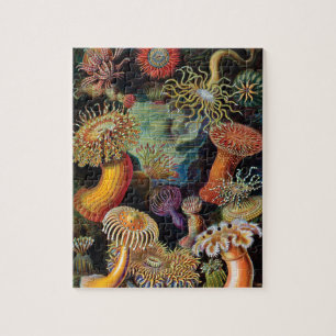 De kunst van de Natuur door Ernst Haeckel Legpuzzel