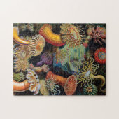 De kunst van de Natuur door Ernst Haeckel Legpuzzel (Horizontaal)