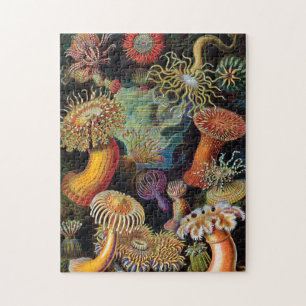 De kunst van de Natuur door Ernst Haeckel Legpuzzel