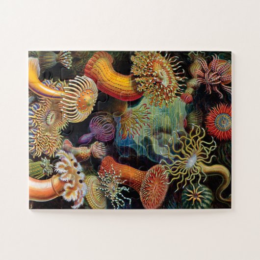 De kunst van de Natuur door Ernst Haeckel Legpuzzel (Horizontaal)