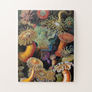 De kunst van de Natuur door Ernst Haeckel Legpuzzel
