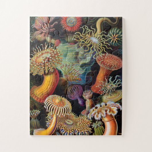 De kunst van de Natuur door Ernst Haeckel Legpuzzel (Verticaal)