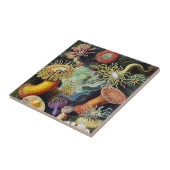 De kunst van de Natuur door Ernst Haeckel Tegeltje (Zijkant)