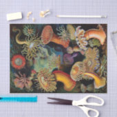 De kunst van de Natuur door Ernst Haeckel Tissuepapier (Craft)