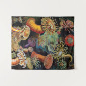 de kunst van de Natuur door Ernst Haeckel Wandkleed (Voorkant (horizontaal))