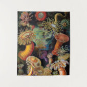 de kunst van de Natuur door Ernst Haeckel Wandkleed (Voorkant)