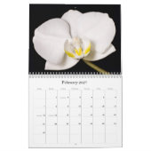 De kunst van de Natuur Kalender (Feb 2027)