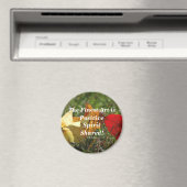 De kunst van de "positieve geest" rond Magnet (Insitu (Vaatwasser))