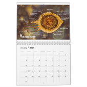 De kunst van de wetenschap #3 kalender (Jan 2027)