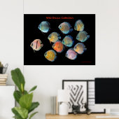 De kunst van de wilde vis poster (Thuiskantoor)