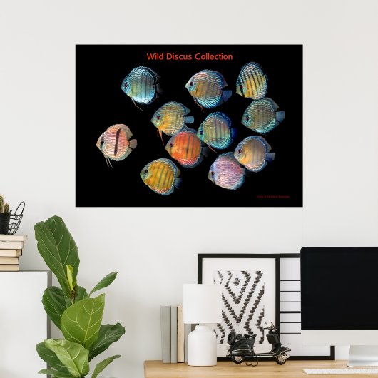 De kunst van de wilde vis poster (Thuiskantoor)