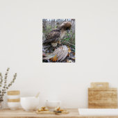 De kunst van Falconry: Red Tailed Hawk op fazant 2 Poster (Keuken)